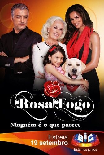 Rosa Fogo